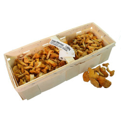 CHAMPIGNON GIROLLE 1KG